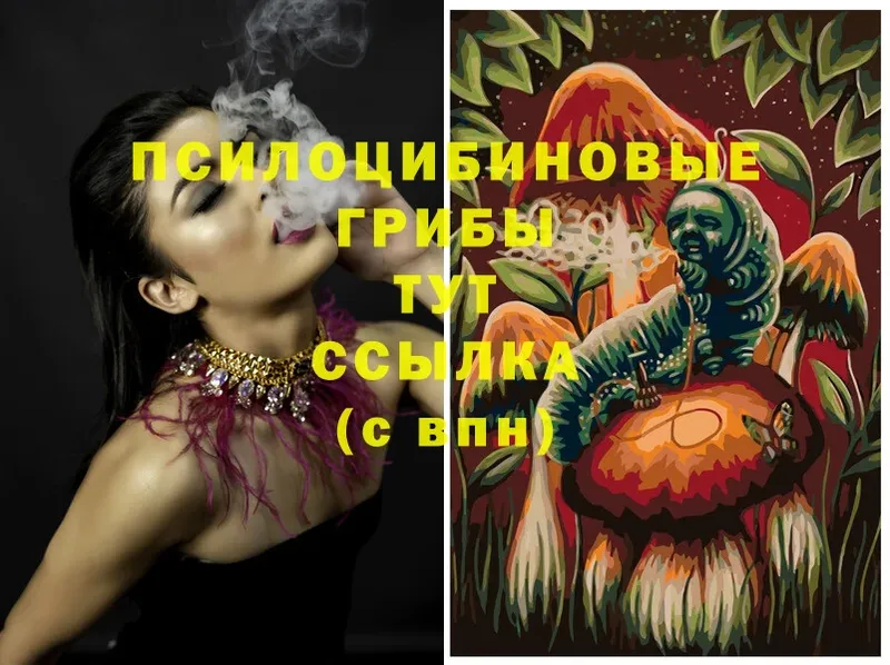 Псилоцибиновые грибы Magic Shrooms  купить наркотик  Электроугли 